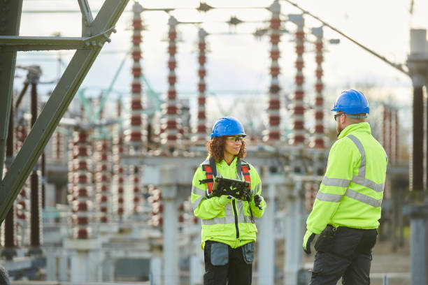 Best Electric Panel Repair  in Zumbrota, MN