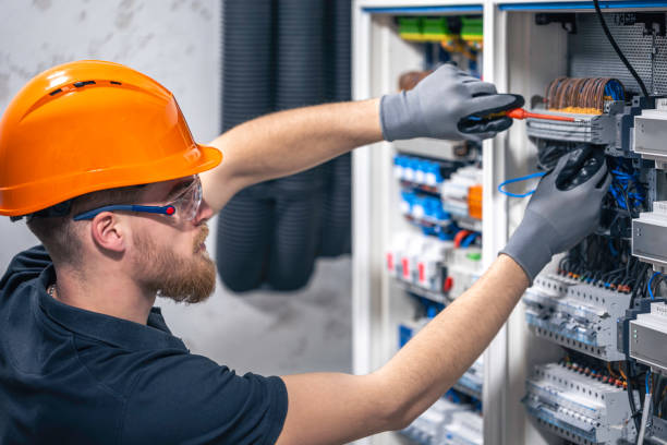 Best Home Electrical Repair  in Zumbrota, MN