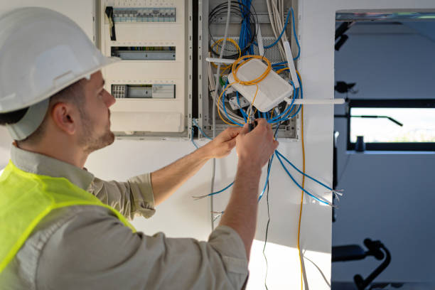 Best Electric Panel Repair  in Zumbrota, MN